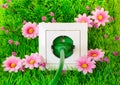 Green power plug into outlet on the grass Royalty Free Stock Photo