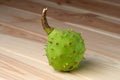 Green prickly fruit of the horse chestnut tree