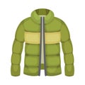 Green Puffer Jacket as Male Clothing Item Vector Illustration