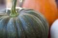 Green Pumpkin Royalty Free Stock Photo