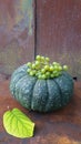 Green pumpkin with grapes, hydrangea leaf on the background of an old tin