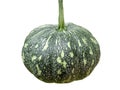 Green Pumpkin isolated on white background Royalty Free Stock Photo