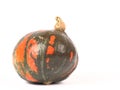 Green pumpkin with orange spots