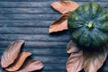 Green pumpkin and yellow leaves moody toned photo. Autumn harvest banner template.