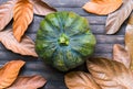 Green pumpkin and yellow leaves on wooden background. Autumn harvest banner template. Royalty Free Stock Photo