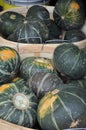 Green pumpkins in baskets