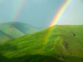 Green pure beauty of Alpine meadows and double rainbow