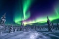 Aurora borealis in the sky over snow covered trees and landscape. Northern lights.
