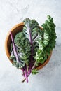 Green and purple Kale leaves Royalty Free Stock Photo