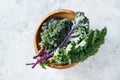 Green and purple Kale leaves Royalty Free Stock Photo