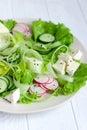 Green and purple salad with radish, cucumber, celery, Camembert and sesame topping. Placed on a light plate on white