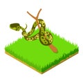 Green python icon, isometric style