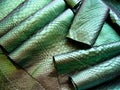 Green python skin  snake. Royalty Free Stock Photo