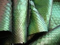 Green python skin  snake. Royalty Free Stock Photo