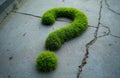 Green question mark grass, concrete background. Concept of asking questions, problems, solutions. Symbol of inquiry, curiosity, Royalty Free Stock Photo
