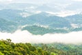 Green rain forest on mountain with mist and low cloud in morning. Royalty Free Stock Photo