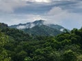 Minca Colombia Jungle Mountain Scenery