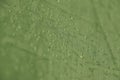 Rain drops on the green rainproof tent sheet. Royalty Free Stock Photo