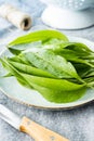 Green ramsons leaves. Wild garlic on plate