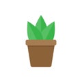 Green random plant in brown pot vector illustration