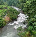 The Green Rapids River Stream