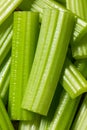 Green Raw Organic Celery Sticks Royalty Free Stock Photo