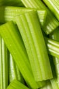 Green Raw Organic Celery Sticks Royalty Free Stock Photo