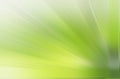 Green ray background Royalty Free Stock Photo