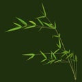 Green realistic bamboo plant