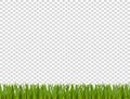 Green realistic grass border on transparent background.