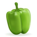 Green realistic pepper isolated on white background. Vegetable, healthy fresh food. Vector 3d