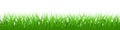 Green realistic vector grass Royalty Free Stock Photo