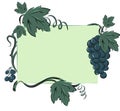 Color illustration of a vine.