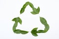 Green recycling symbol Royalty Free Stock Photo