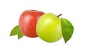 Green and red apple with leaf isolated on white background Royalty Free Stock Photo