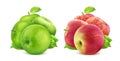 Green and red apples isolated on white background with clipping path Royalty Free Stock Photo