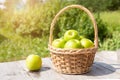 Green and red apples in wicker basket on wooden table Green grass in the garden Harvest time Sun flare Royalty Free Stock Photo