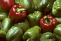 Green and red Bell peppers Royalty Free Stock Photo