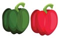 Green and red bellpepper vector illustration of vegetables