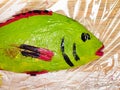 Green, red and black painted Orata fish close up