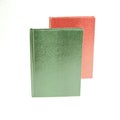 green and red books in leather cover on a white background, Snake Cover. Royalty Free Stock Photo