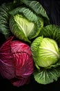 Green and red cabbage. Generative AI, Royalty Free Stock Photo