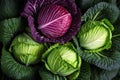 Green and red cabbage. Generative AI,
