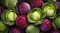 Green and red cabbage. Generative AI, Royalty Free Stock Photo