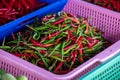 Green and red chili in the plastic basket for sale at fresh market. Colorful chilli peppers stall in fresh market. thai chili in t Royalty Free Stock Photo