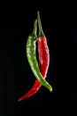 Green and red chilis Royalty Free Stock Photo