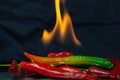 Green and red chilis with flames Royalty Free Stock Photo