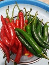 Green and red chilis vegetables fresh good vitamins and healthy Royalty Free Stock Photo