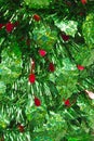 Green and Red Christmas Tinsel Royalty Free Stock Photo