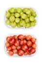 Green and red gooseberries, European gooseberries, in a plastic container Royalty Free Stock Photo